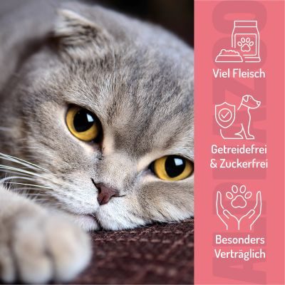 Thumbnail 5: ALPHAZOO Verlachst Nochmal Katzenleckerlis