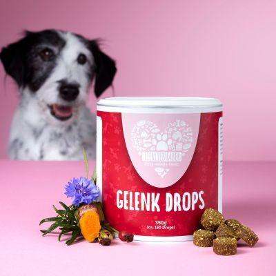 Thumbnail 5: Tierliebhaber Gelenk Drops für Hunde - Für gesunde Gelenke & mehr Bewegungsfreude