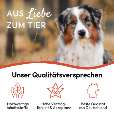 Thumbnail 6: PHA PetVet - PHA Spot-onTropfen für Hunde 2 x 2 ml - Parasitenschutz - zur äußerlichen Anwendung