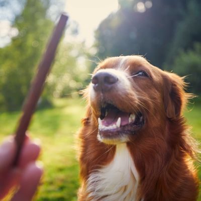 Thumbnail 6: Sollis Rauchiges Rind - Softstreifen