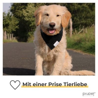 Thumbnail 4: PIUPET Hundehalstuch I 2er Set Hundehalstücher I Hundebekleidung & Zubehör I 76x53x53cm I Schwarz / Grün (L)