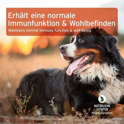 Thumbnail 5: AniForte Immun-Boost Snack