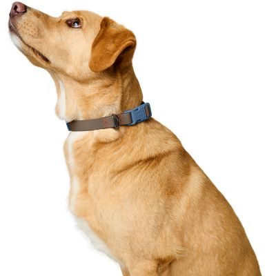 Thumbnail 7: HUNTER Halsung Havanna M, taupe/rauchblau