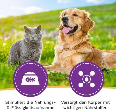 Thumbnail 3: LiquidoCare Ergänzungsfuttermittel mit Goldrute und Selen zur Unterstützung der Nierenfunktion