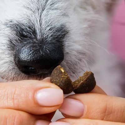 Thumbnail 6: Tierliebhaber Z-Snack für Hunde - Natürlicher Snack für Wald- und Wiesenspaziergänge