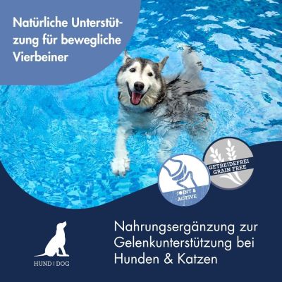 Thumbnail 3: Dr.Clauder´s Gelenk Support Pulver 500g