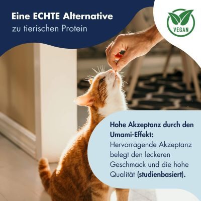 Thumbnail 4: Dr.Clauder’s Trainee Snack Cultivated Protein 80g