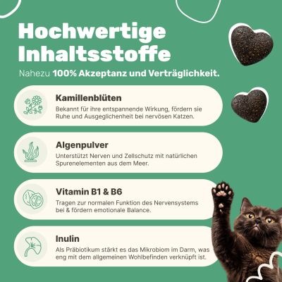 Thumbnail 5: Patsli Ergänzungsfuttermittel zur Unterstützung von Entspannung und emotionaler Balance bei Katzen in stressigen Situationen