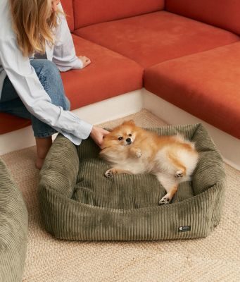 Thumbnail 8: CAFIDE Cord Hundebett, Snozy