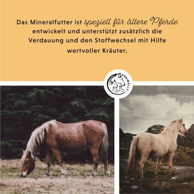 Thumbnail 7: annimally Mineralfutter Senior Vital