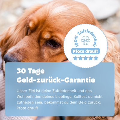 Thumbnail 4: Pezz Hunde Ohrentest | Bei wunden, juckenden oder riechenden Ohren