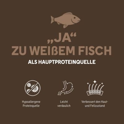 Thumbnail 6: NP Lifestyle TJURE Lifestyle WEISSFISCH & KARTOFFEL 10 kg getreidefreies Trockenfutter Spar-Pack für alle Rassen