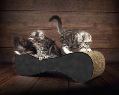 Thumbnail 1: cat-on LE VER M Design Kratzmöbel, schwarz meliert (013)