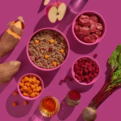 Thumbnail 3: FRED & FELIA FRED Hundenassfutter hypoallergen Pferd mit Süßkartoffel 10x 190g