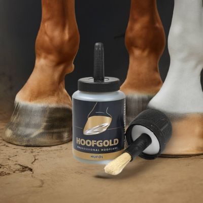 Thumbnail 4: Hoofgold Huföl für Pferde mit Pinsel - zur täglichen Hufpflege bei sprödem und brüchigem Horn - 500 ml