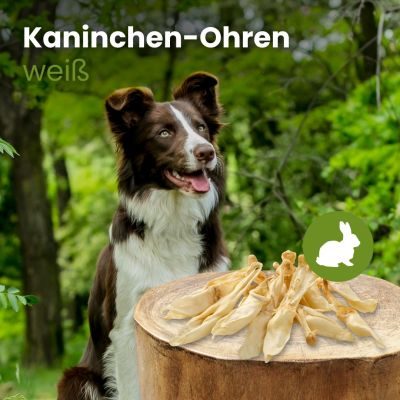 Thumbnail 2: kauartikel.com Kaninchen-Ohren, weiß - Hunde-Kauartikel - Hunde-Snack - Hypoallergen-Kausnack - Hasen-Leckerli