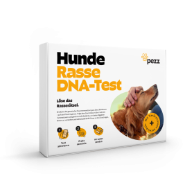 Pezz Hunde Rassebestimmungs DNA-Test | Resseanalyse auf 1% genau