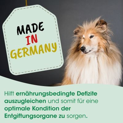 Thumbnail 5: cdVet Fell & Haut Vital Hund & Katze 400 g
