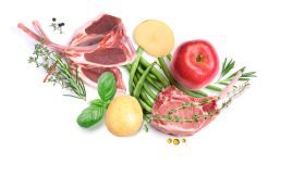 Dibaq Sense Trockenfutter getreidefrei Lamm 2kg