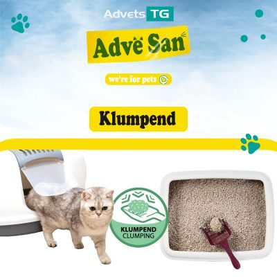 Thumbnail 5: Adve® San Klumpendes Bio-Katzenstreu aus Holz - 100% Natürlich - Klumpstreu pflanzlich - Holzstreu - in der Toilette entsorgbar - 4.3 kg / 10 l