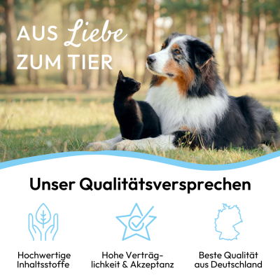 Thumbnail 4: PHA PetVet - PHA AugenPflege für Hunde u. Katzen 20 ml - Sanfte Reinigung & Pflege empfindlicher Augen, gegen Verkrustungen, Kratzen, Tränenstein & Reizungen
