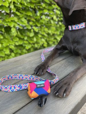 Thumbnail 1: Hey Lana Kotbeutelspender Kunterbunt - Heißer Scheiß Pink/ Türkis Pink / Türkis