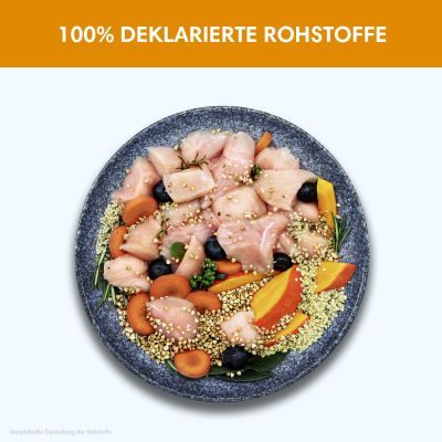 Thumbnail 5: Sollis Nassfutter für Hunde | Ohne Getreide & Zucker | Huhn 6x800g