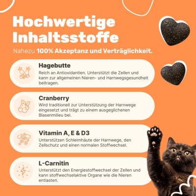 Thumbnail 6: Patsli Funktionaler Katzensnack zur Unterstützung der Harnwege und Blasengesundheit – entwickelt für den täglichen Bedarf