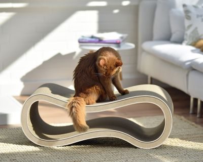 Thumbnail 4: cat-on SINGHA L Design Katzenmöbel, hellbeige (005f)
