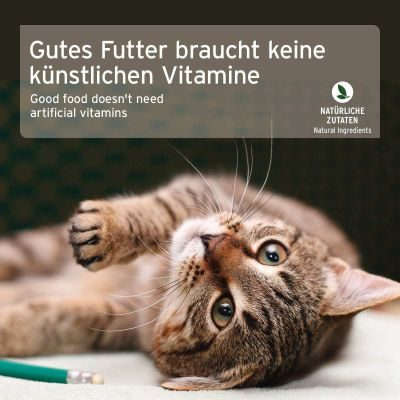 Thumbnail 8: AniForte Nassfutter Land Chicken  – Zartes Huhn mit Kürbis