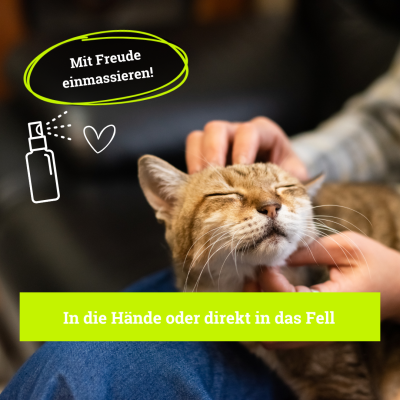 Thumbnail 4: BeG Buddy Zeckenmittel Katze, Zeckenschutz Katzen & Kitten, Zecke Katze, Zeckenabwehr auf pflanzlicher Basis, 30 ml