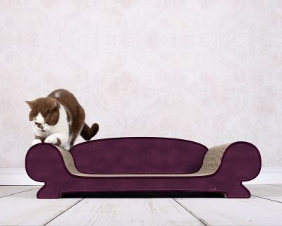 Thumbnail 2: cat-on VERTIGE Design Katzensofa, violett (070)