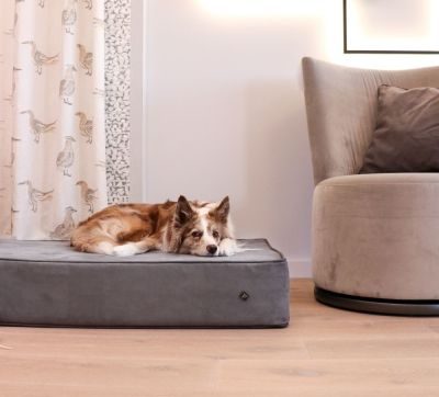 Thumbnail 7: ANUBIS orthopädische Hundematratze Kano Basalt M