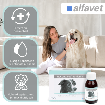 Thumbnail 4: alfavet ReConvales Tonicum Hund 6 x 90 ml
