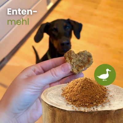 Thumbnail 2: kauartikel.com Enten-Mehl - Futterergänzung - oder auch zum Backen von Hundekeksen - Fleisch von der Ente, gemahlen