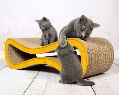 Thumbnail 2: cat-on CAT RACER L Design Kratzmöbel, dunkelgelb (004e)