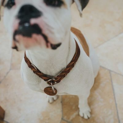 Thumbnail 9: HUNTER Dressurhalsung Solid Education M, cognac