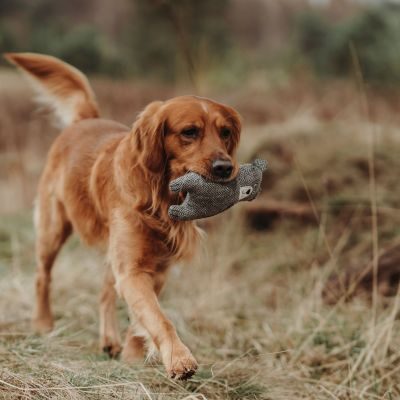 Thumbnail 4: HUNTER Hundespielzeug Billund Bär, 23 cm