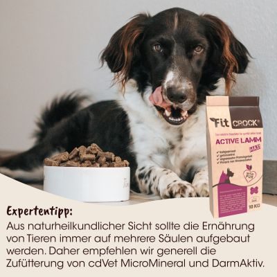 Thumbnail 4: Fit-CROCK® Active Lamm Maxi 3 kg – Kaltgepresstes Trockenfutter für aktive Hunde