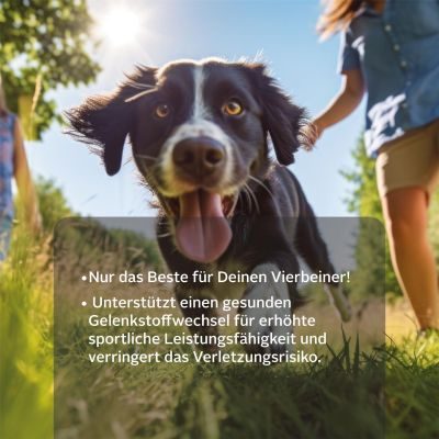 Thumbnail 5: TJURE TJURE - Gelenk Tabs 2 x 250 g  Spar Pack | Reduziert Gelenkprobleme | fördert Gelenkgesundheit