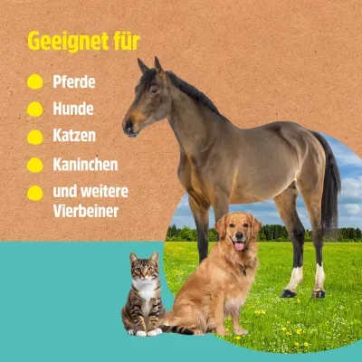 Thumbnail 8: Greenhero Lebertran-Zinksalbe pflegt die Haut bei Reizungen