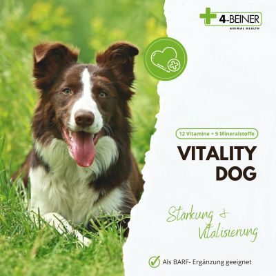 Thumbnail 6: 4-Beiner 4-BEINER VITALITY-DOG - Nahrungsergänzung - Futterergänzung für Hunde