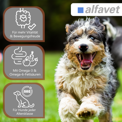 Thumbnail 2: alfavet CaniGum Glanduvet 300 g