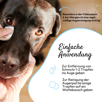 Thumbnail 3: PHA PetVet - PHA AugenPflege für Hunde u. Katzen 20 ml - Sanfte Reinigung & Pflege empfindlicher Augen, gegen Verkrustungen, Kratzen, Tränenstein & Reizungen