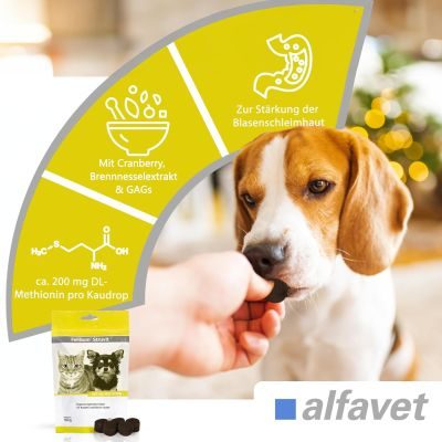 Thumbnail 5: alfavet FeliGum Struvit 160 g
