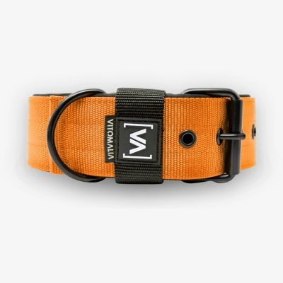 Thumbnail 4: Vitomalia Klassisches Hundehalsband mit abstehender Innenfütterung - Nero Orange
