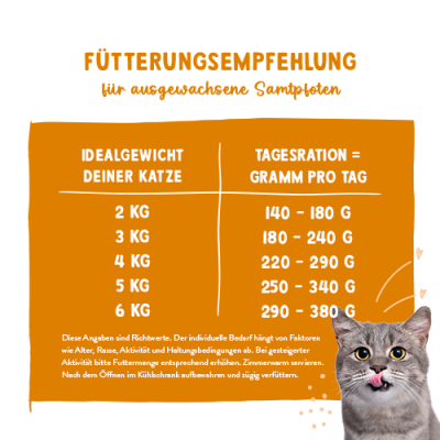 Thumbnail 5: Sanabelle Sanabelle Nassfutter Schlemmertopf mit Gans & Huhn – 380g