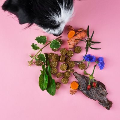 Thumbnail 1: Tierliebhaber Gelenk Drops für Hunde - Für gesunde Gelenke & mehr Bewegungsfreude