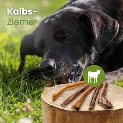 Thumbnail 2: kauartikel.com Kalbs-Ziemer, 12cm - Hunde-Kauartikel - Hunde-Snack - Kausnack - Kälber-Leckerli  (Rind)