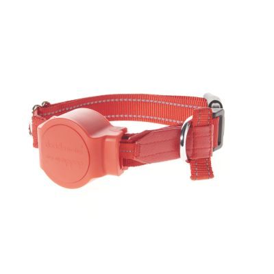 Thumbnail 3: doddle for dogs Halsband mit integrierter Leine für große Hunde rot